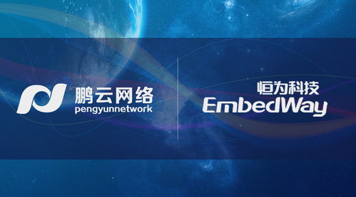 先行一步 鵬云網(wǎng)絡(luò)攜手恒為科技開(kāi)展國(guó)產(chǎn)自主可控SDS前瞻性研究