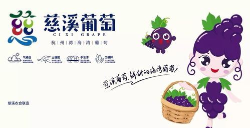 慈溪市第十三屆葡萄節暨新浦鎮第二屆群眾文化藝術節開幕式隆重舉行